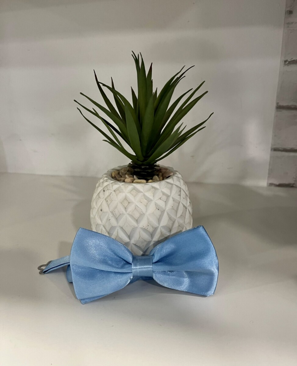 Pajarita Chico - Imagen 8