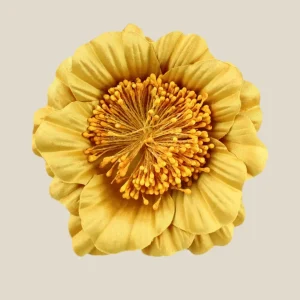 Flor Bonita mostaza