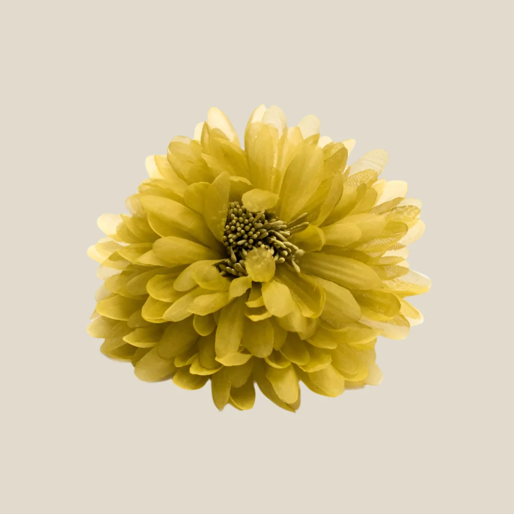 Flor mostaza - Imagen 2