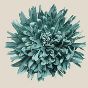 Flor Loto aguamarina