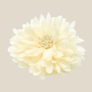 Flor crudo
