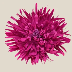 Flor Loto fucsia