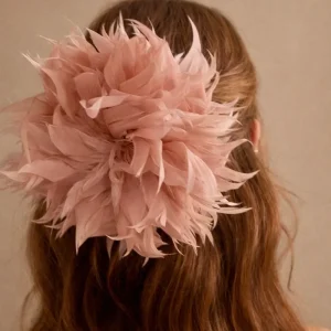 Flor Pascua Rosa