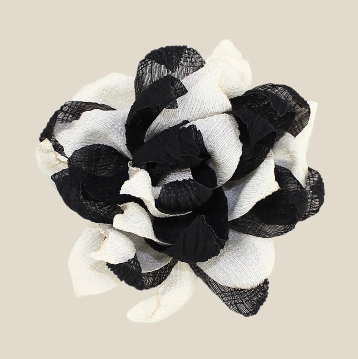 Flor Nenúfar negro