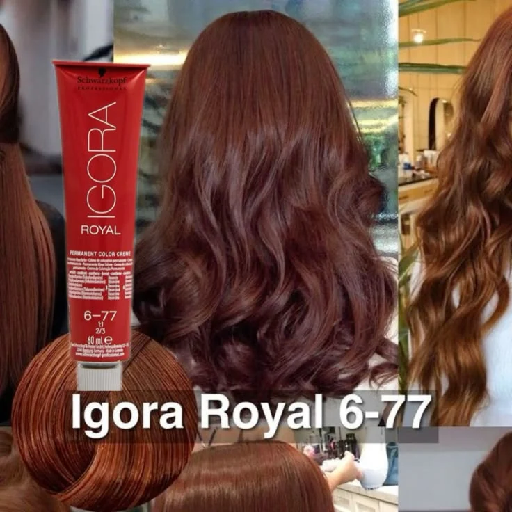 IGORA ROYAL 6-77 – Rubio Oscuro Cobrizo Intenso – 60 ml - Imagen 3