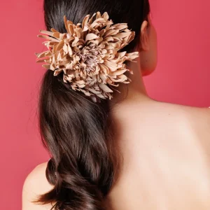 Flor Loto camel