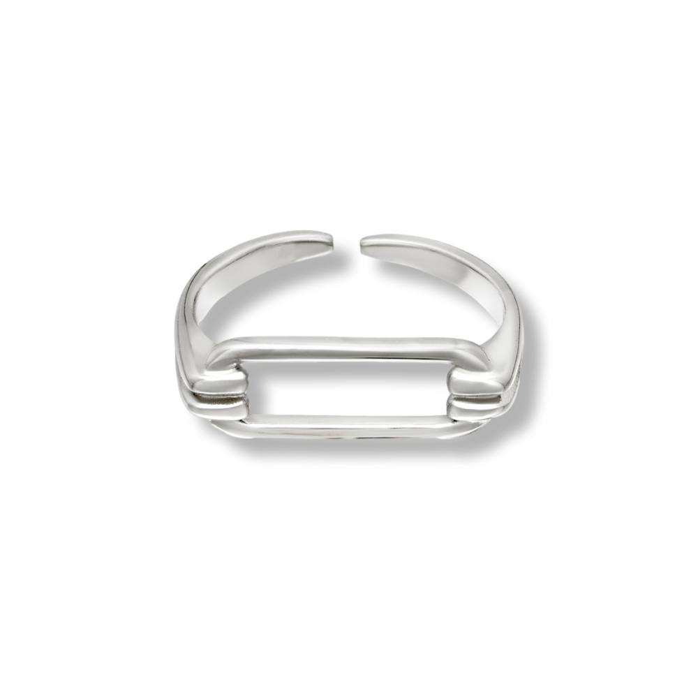 Anillo DANAE Acero