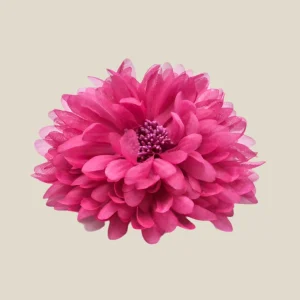 Flor buganvilla