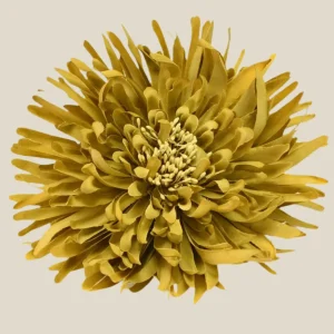 Flor Loto mostaza