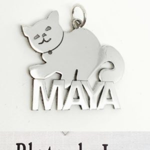 Colgante GATO con nombre personalizado de Plata de ley
