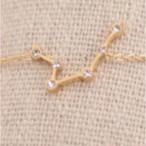 PULSERA MUJER ACERO DORADO HOROSCOPO ACUARIO