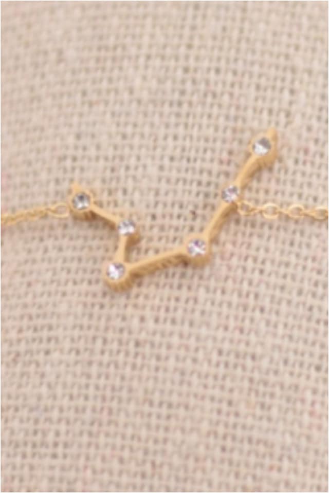 PULSERA MUJER ACERO DORADO HOROSCOPO ACUARIO