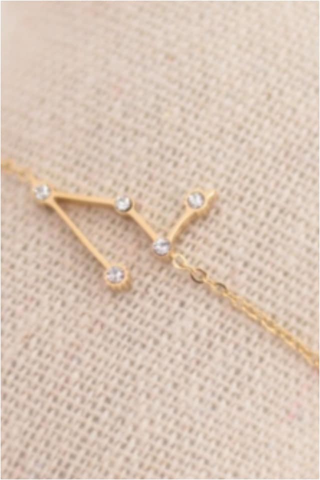PULSERA MUJER ACERO DORADO HOROSCOPO CAPRICORNIO