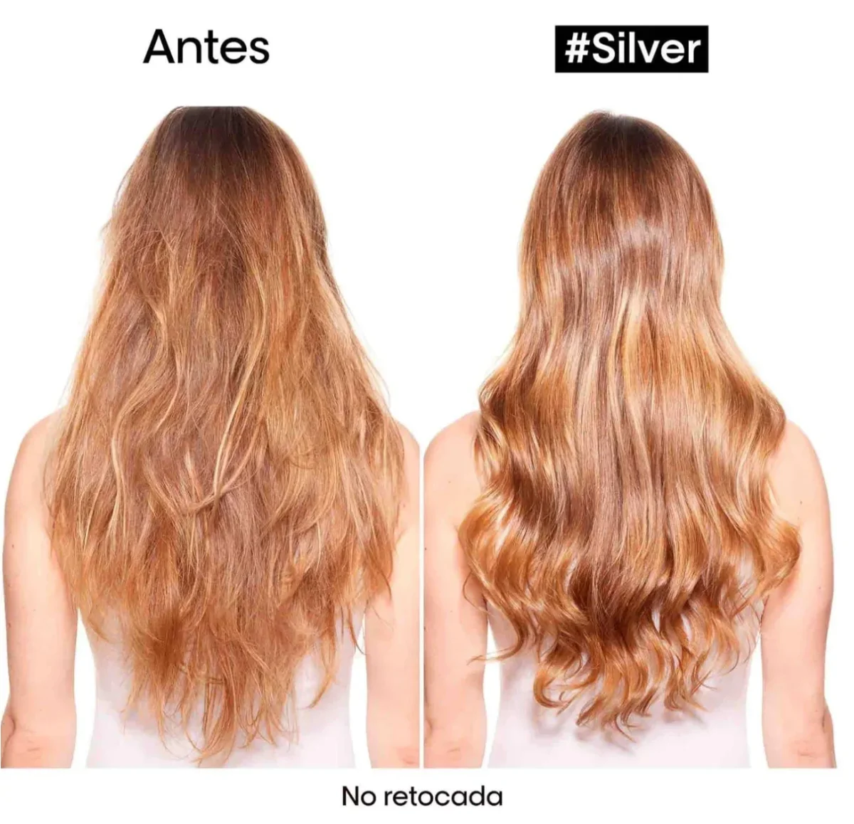 L’Oréal Professionnel Silver Violet Dyes + Magnesium Conditioner Acondicionador matizador para cabellos rubios, grises y blancos - Imagen 3