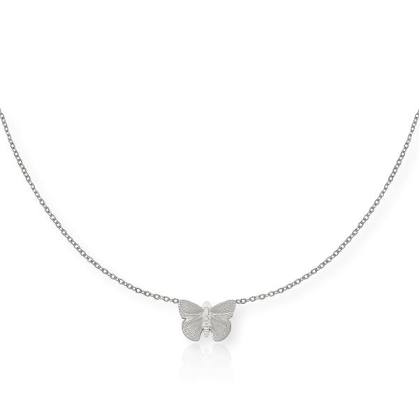 Collar BIBI Acero - Imagen 2