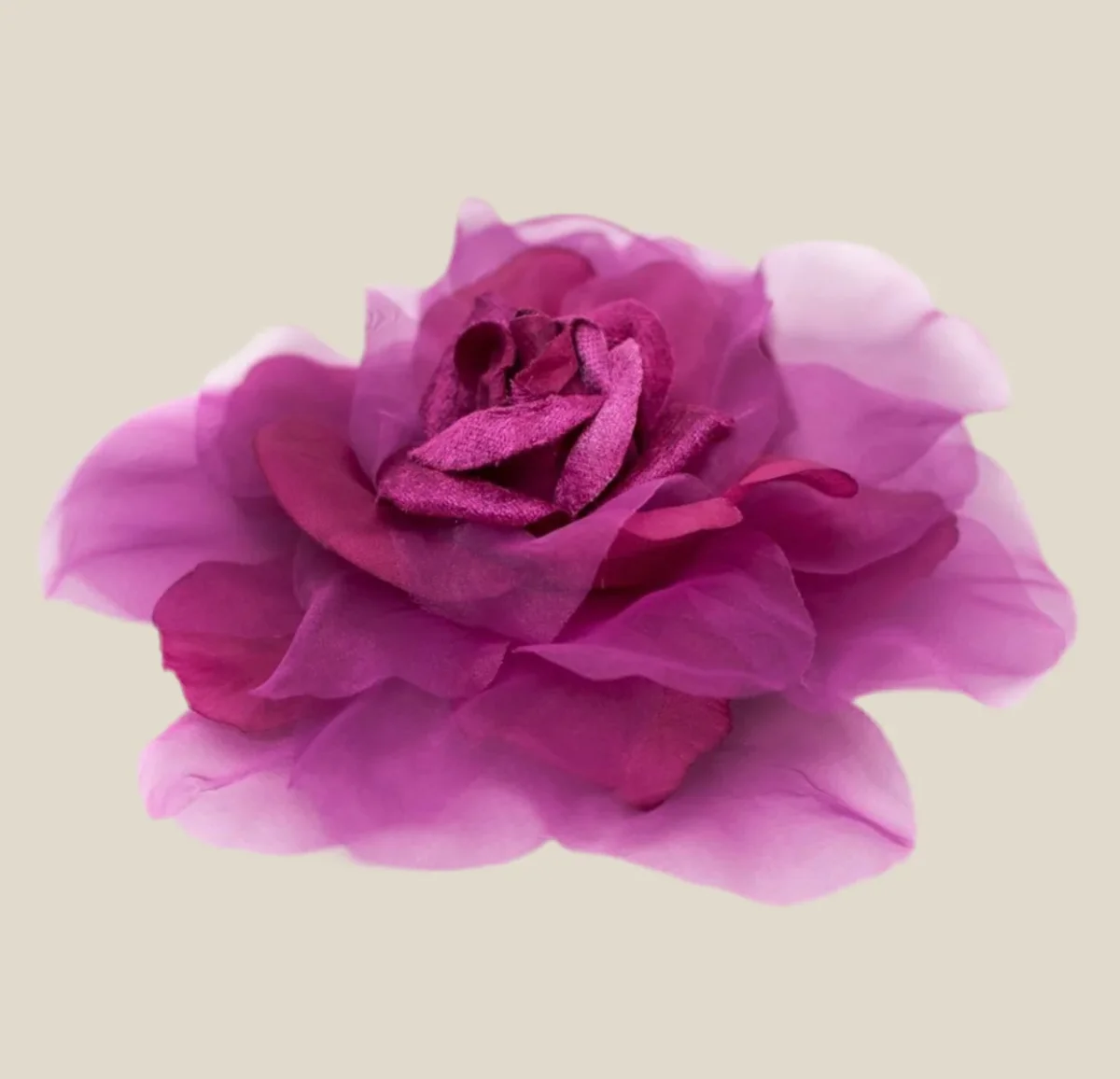 Flor Raimunda mini buganvilla - Imagen 2