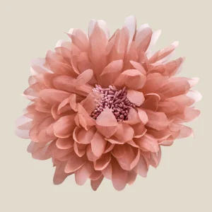 Flor nude