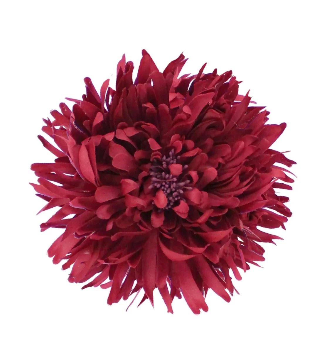 Flor Loto vino - Imagen 4