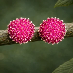 Pendientes Erizo buganvilla