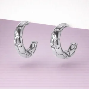 Aros C plata