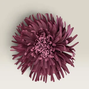 Flor Loto ciruela