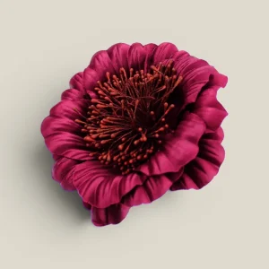 Flor Bonita vino