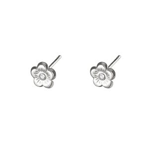 Pendientes ANAE Acero