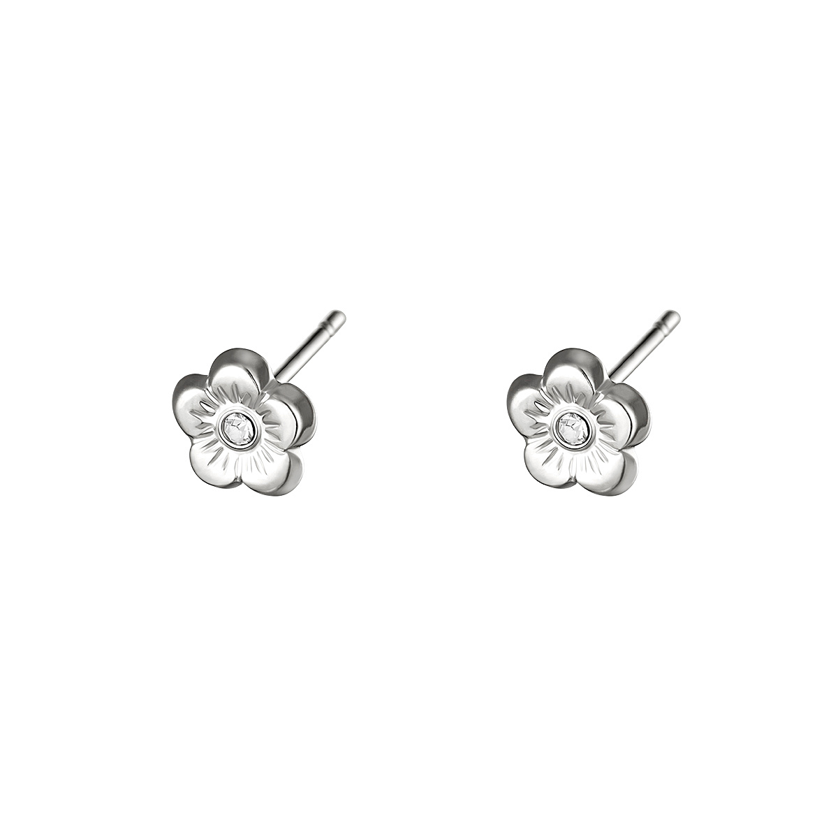 Pendientes ANAE Acero