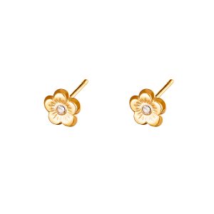 Pendientes ANAE Acero Dorado