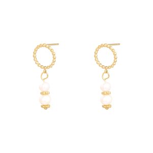 Pendientes DIANE Acero Dorado