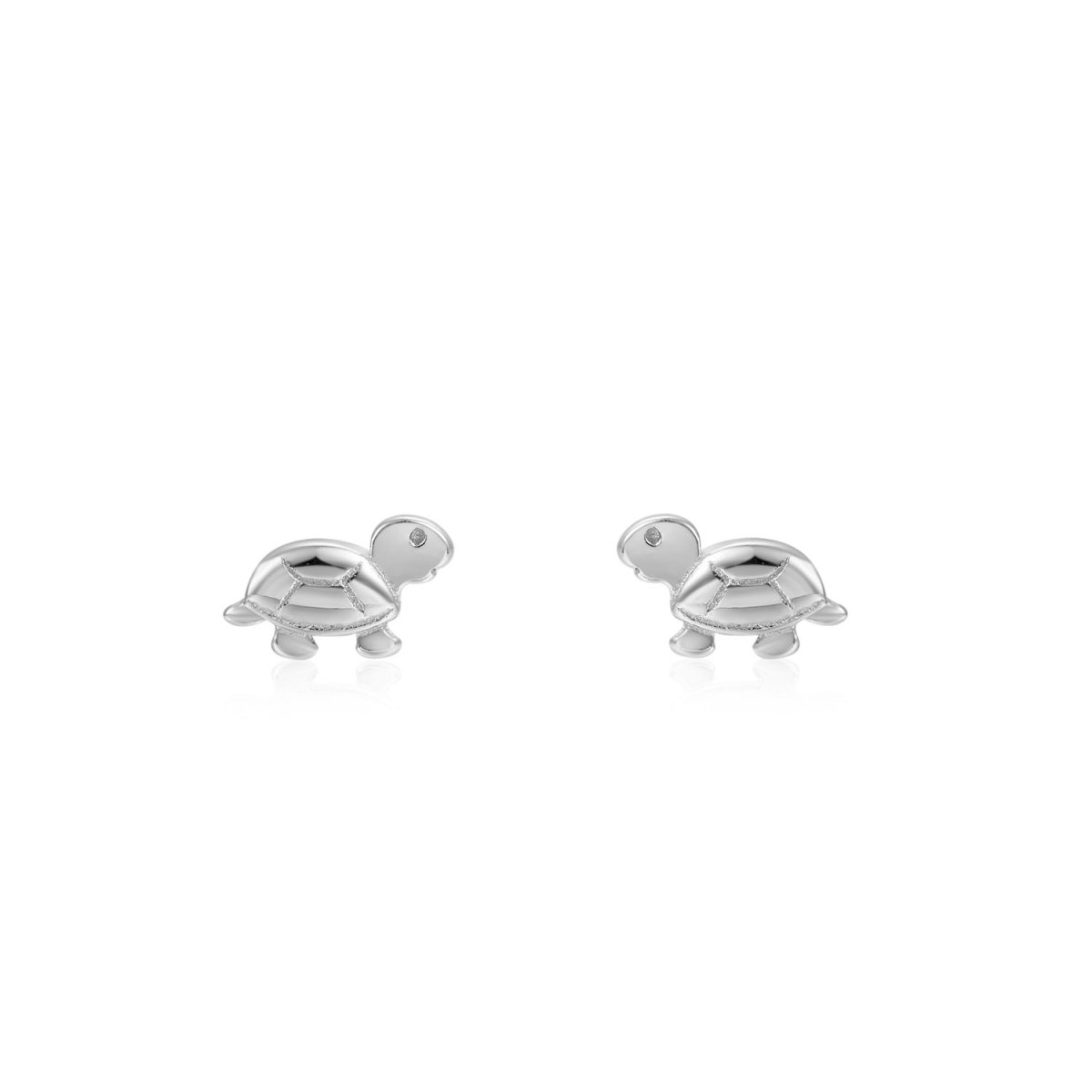 Pendientes NAIR Plata