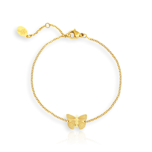 Pulsera BIBI Acero Dorado - Imagen 2