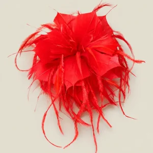 Flor plumas roja