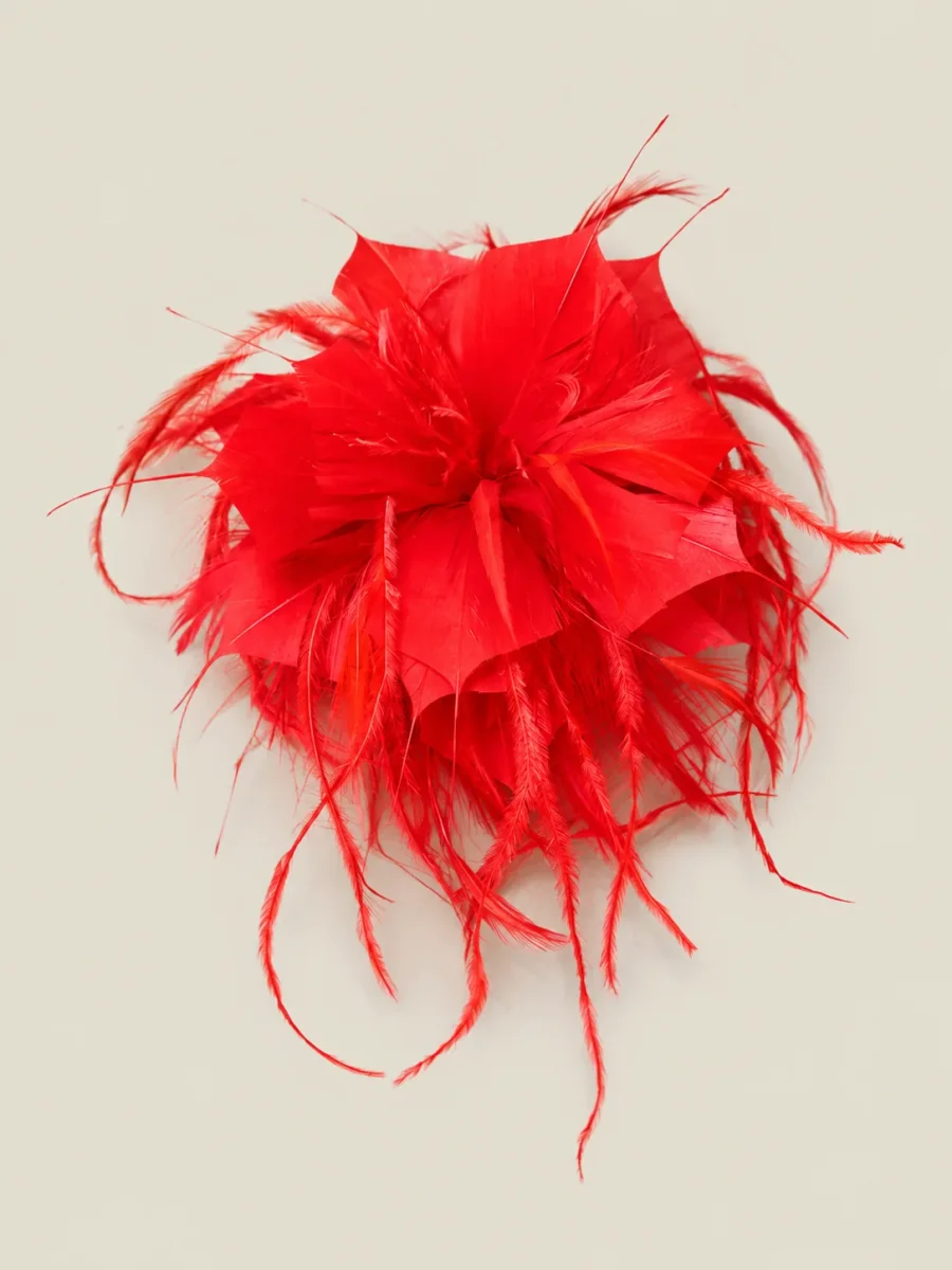 Flor plumas roja