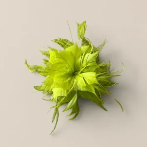 Flor plumas lima