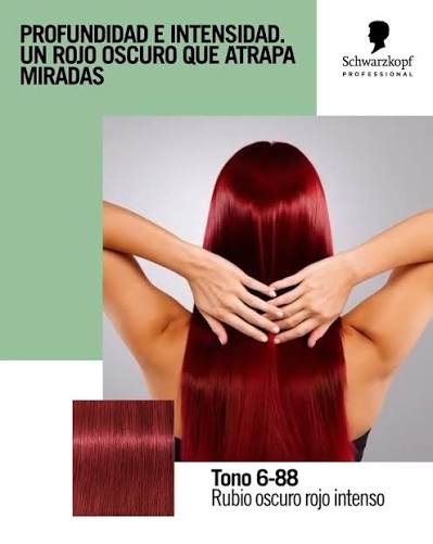 IGORA ROYAL 6-88 – Concentrado Rojo – 60 ml - Imagen 4