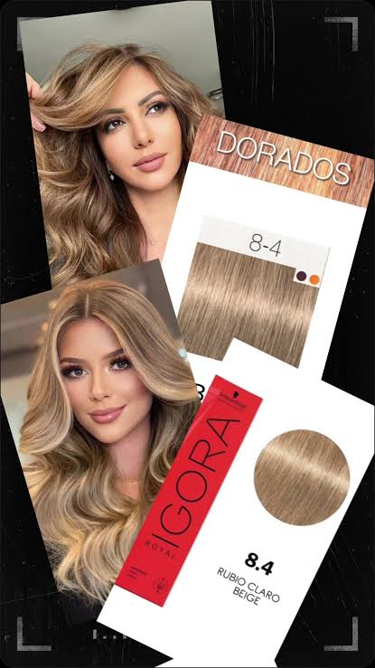 IGORA ROYAL 8-4 Rubio Claro Beige – 60 g - Imagen 4