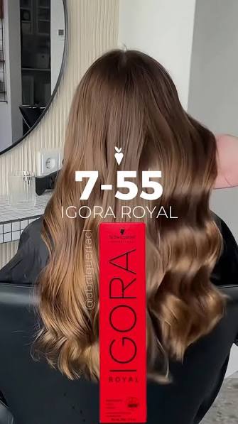 IGORA ROYAL 7-55 Rubio Medio Dorado Extra – 60 g - Imagen 3