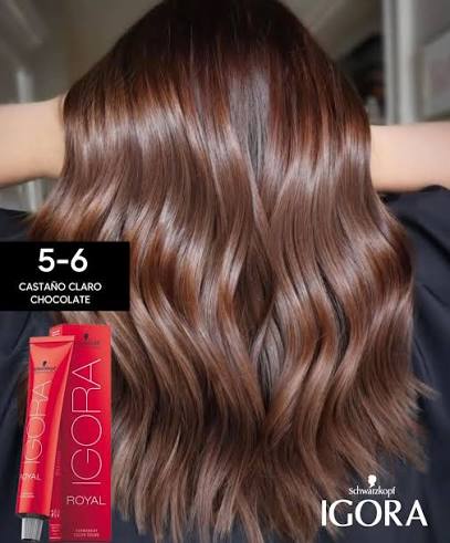 IGORA ROYAL 5-6 Castaño Claro Chocolate – 60 ml - Imagen 3