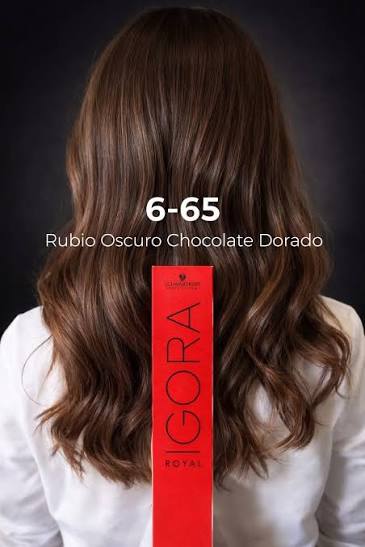 IGORA ROYAL 6-65 Rubio Oscuro Chocolate Dorado – 60 ml - Imagen 3