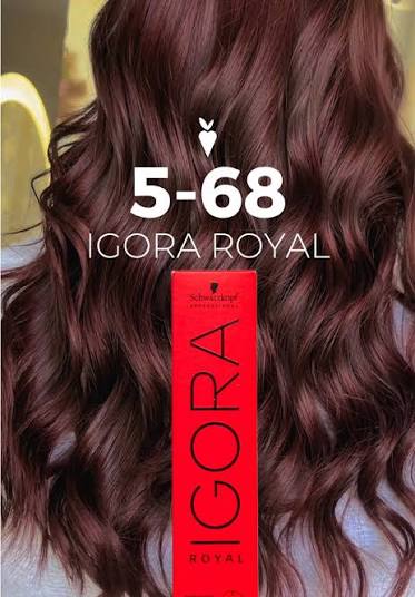 IGORA ROYAL 5-68 Castaño Claro Chocolate Rojo – 60 ml - Imagen 4