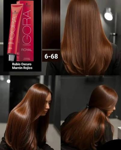 IGORA ROYAL 6-68 Rubio Oscuro Chocolate Rojo – 60 ml - Imagen 4