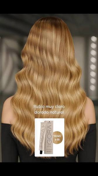 IGORA ROYAL ABSOLUTES 9-50 Rubio Muy Claro Dorado Natural – 60 g - Imagen 3