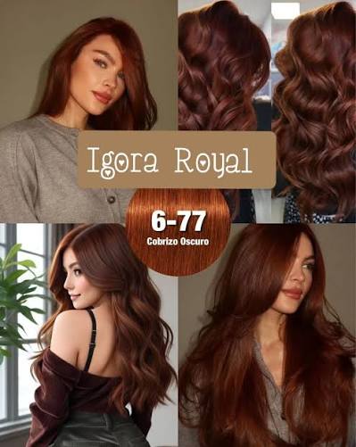 IGORA ROYAL 6-77 – Rubio Oscuro Cobrizo Intenso – 60 ml - Imagen 5