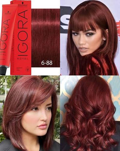 IGORA ROYAL 6-88 – Concentrado Rojo – 60 ml - Imagen 3