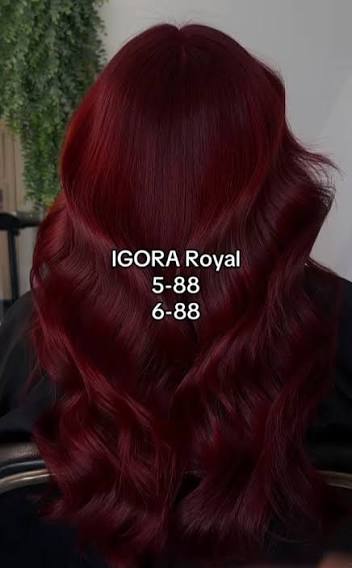 IGORA ROYAL 5-88 – Castaño Claro Rojo Intenso – 60 ml - Imagen 3