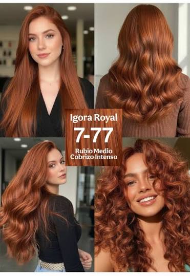 IGORA ROYAL ZERO AMM 7-77 Louro Médio Cobre Extra – 60 g - Imagen 3